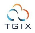 TGIX Cloud Solution : Build. Automate. Optimize. Manage.