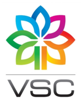 Grupa VSC