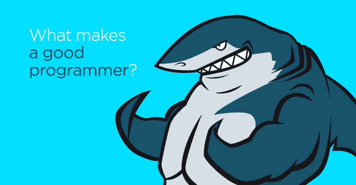 What Makes A Good Programmer 