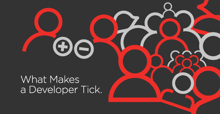 What Makes a Developer Tick