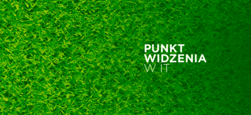 Punkt widzenia w świecie IT