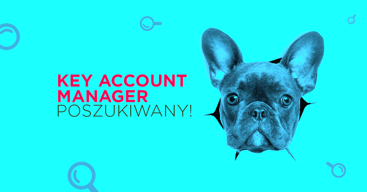 Key Account Manager - poszukiwany!