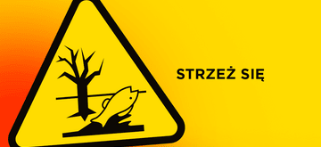 Kiedy wiesz, że wpakowałeś się w straszne bagno?