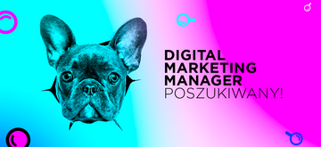 Digital Marketing Manager - praca