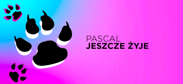 Nowy Free Pascal obsługuje Win16