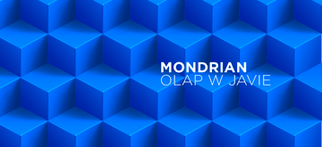 OLAP w Javie z biblioteką Mondrian