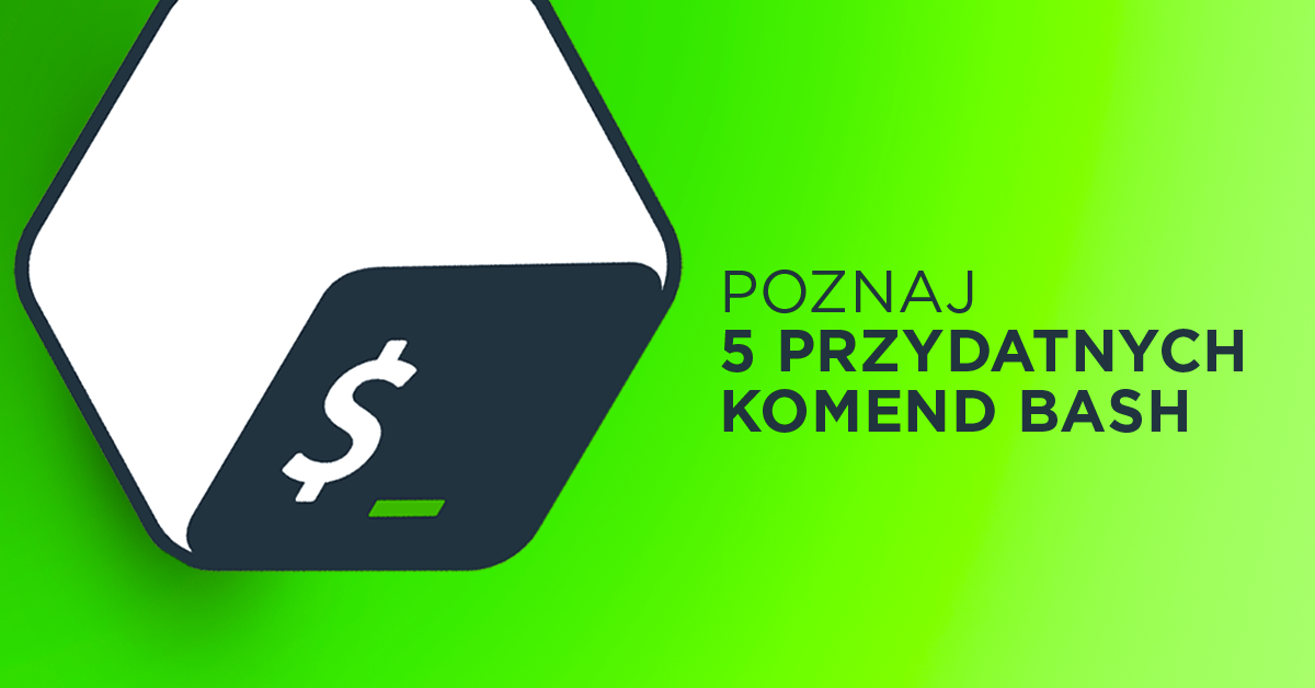 5 komend Basha, które sprawią Ci frajdę