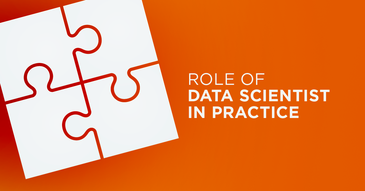 What does the role of Data Scientist mean in practice?