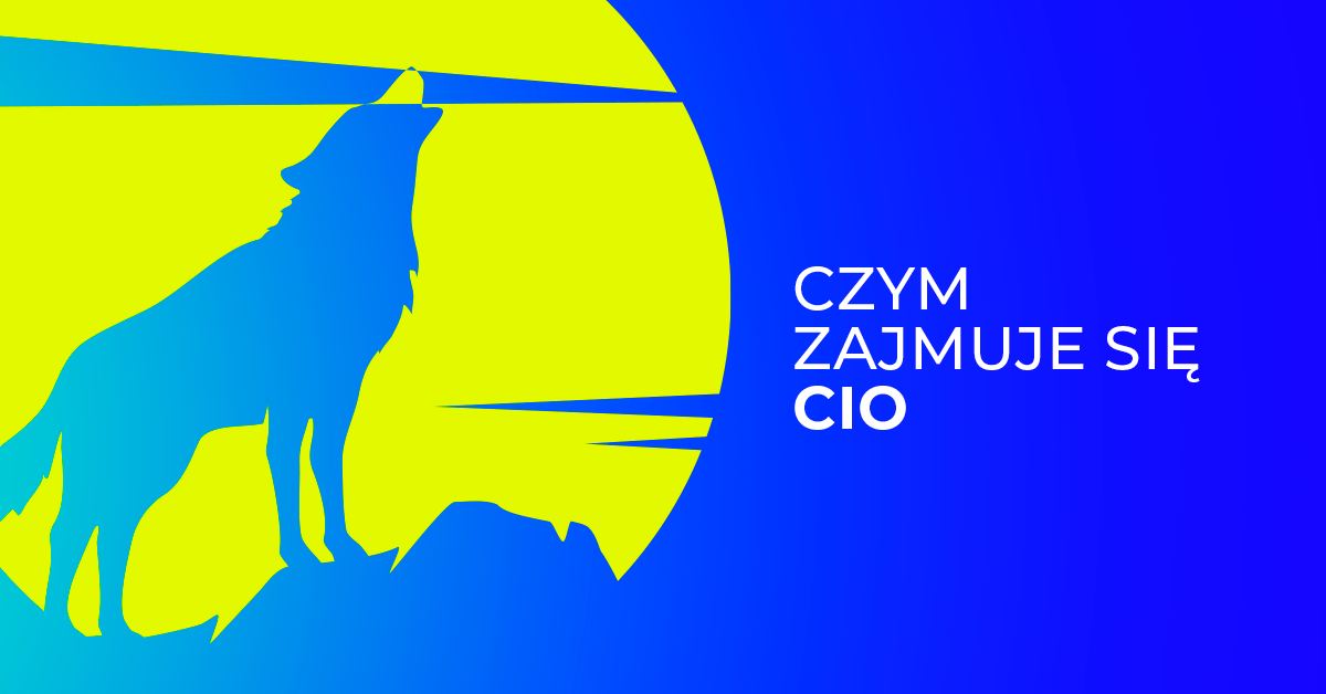 Czym zajmuje się CIO?
