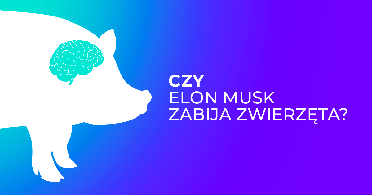 Tak się rodzi Neuralink: Musk oskarżony o morderstwo 1,5 tys. zwierząt