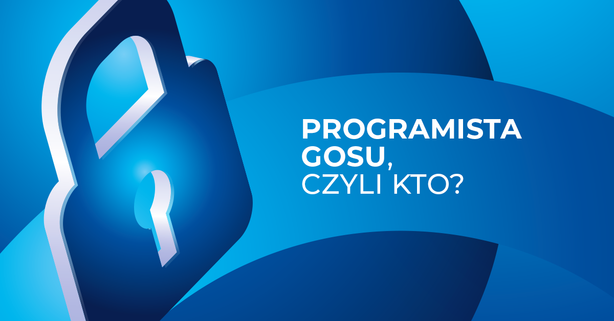 Programista Gosu – co robi w praktyce?