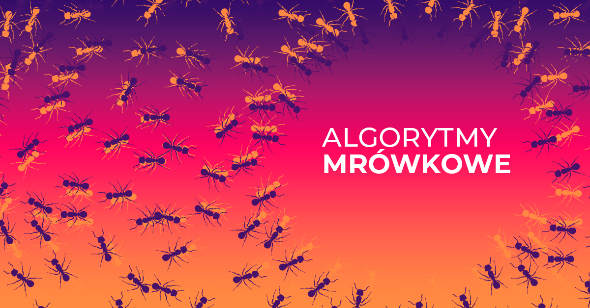 Odkryj świat algorytmów mrówkowych