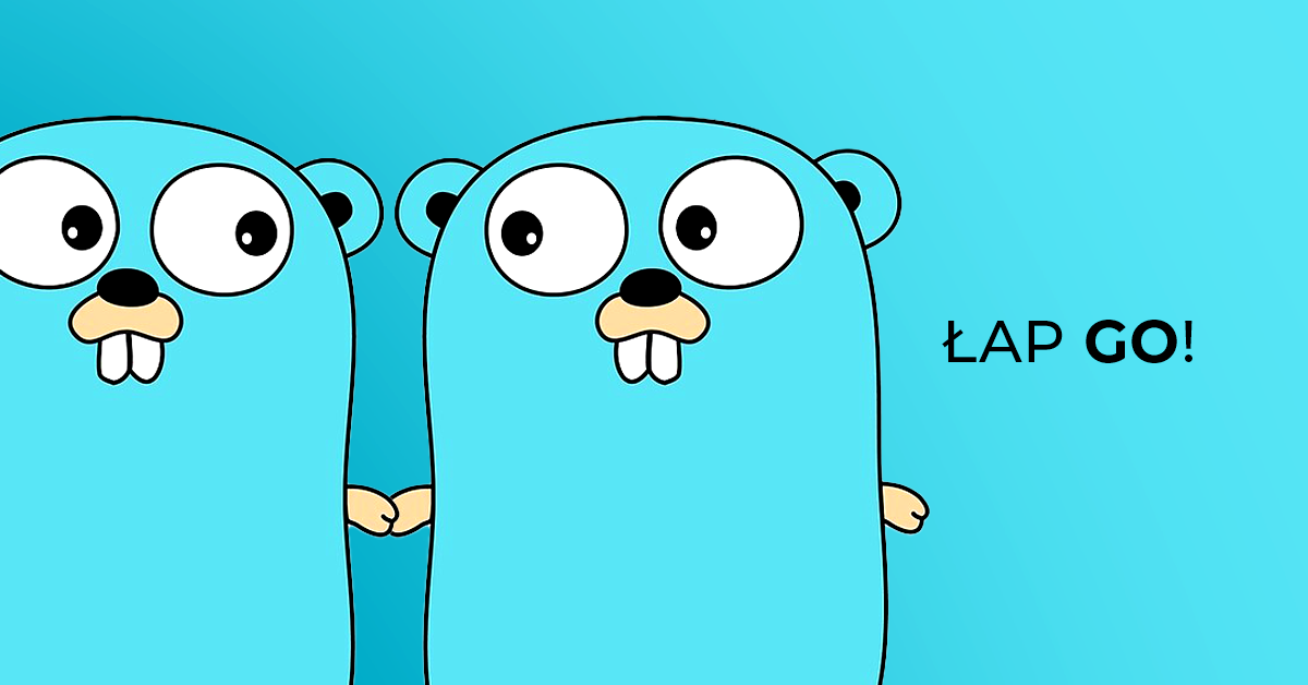 Pisz w języku Go jak senior!